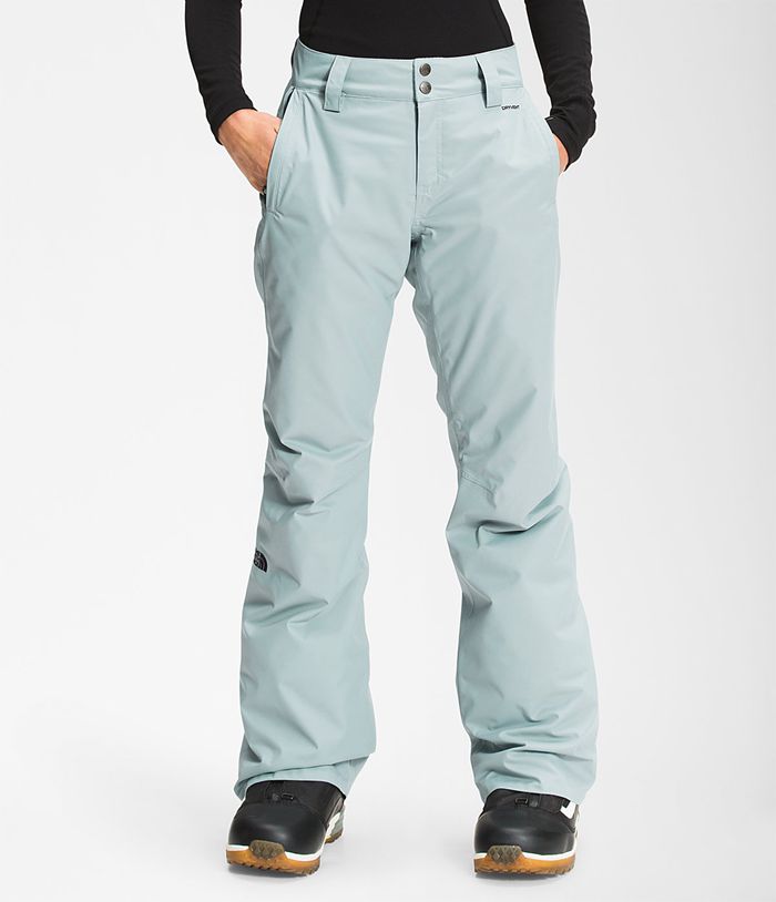 Pantalon Nieve The North Face Mujer Plateadas Azules Sally 34968MSAI